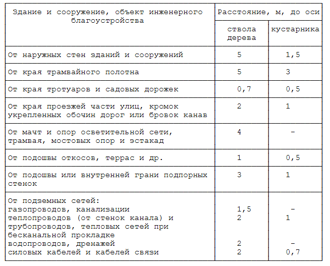 На каком расстоянии сажать деревья от соседей. СНИП посадка деревьев и кустарников. Нормы посадки деревьев СНИП. Нормативы посадки деревьев и кустарников. СНИП посадка деревьев и кустарников нормы.